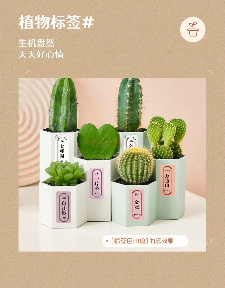 1set Label Printer Home Handhe - Commercial Printing Machine Price 评论和价格