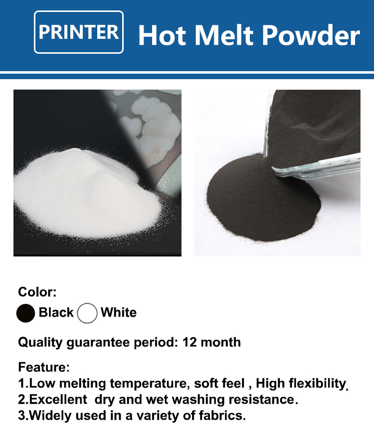 1000g 1kg DTF Powder Fine Powd - Dtf Printer Machine 评论和价格